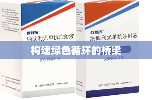 武汉构建绿色循环的桥梁