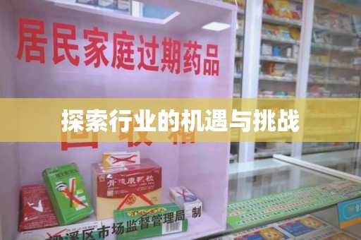 武汉探索行业的机遇与挑战