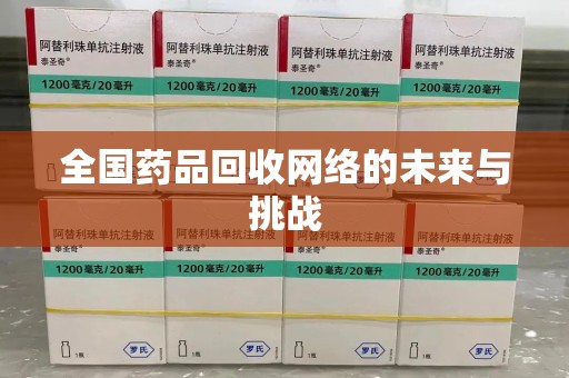 武汉全国药品回收网络的未来与挑战
