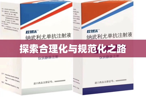 武汉探索合理化与规范化之路