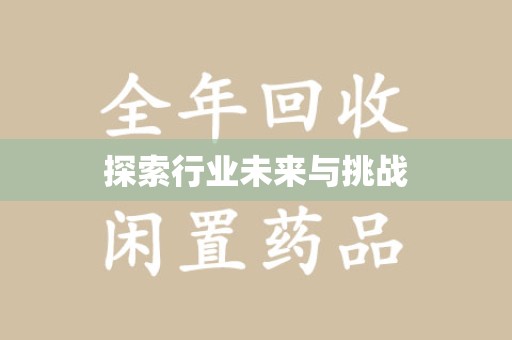 武汉探索行业未来与挑战