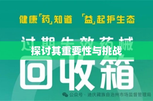 武汉探讨其重要性与挑战
