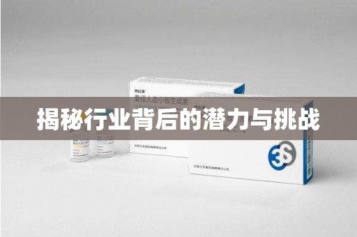 武汉揭秘行业背后的潜力与挑战