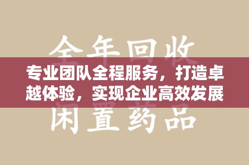 武汉专业团队全程服务，打造卓越体验，实现企业高效发展