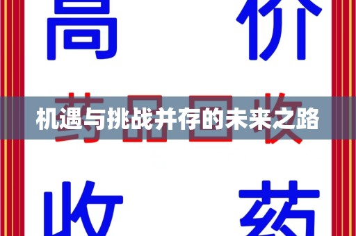 武汉机遇与挑战并存的未来之路