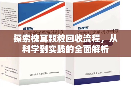 武汉探索槐耳颗粒回收流程，从科学到实践的全面解析