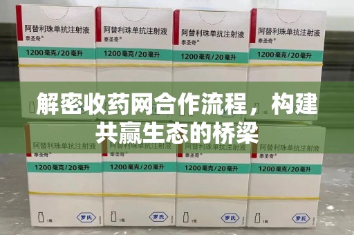 武汉解密收药网合作流程，构建共赢生态的桥梁