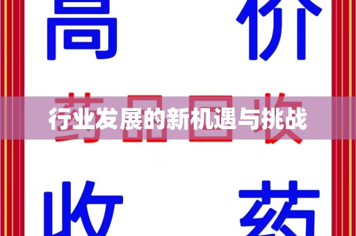 武汉行业发展的新机遇与挑战