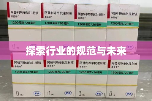 武汉探索行业的规范与未来