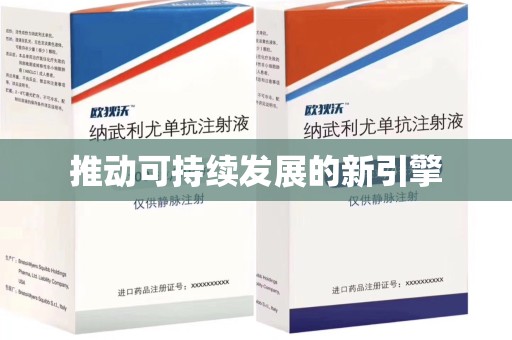 武汉推动可持续发展的新引擎