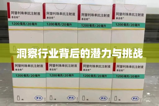 武汉洞察行业背后的潜力与挑战