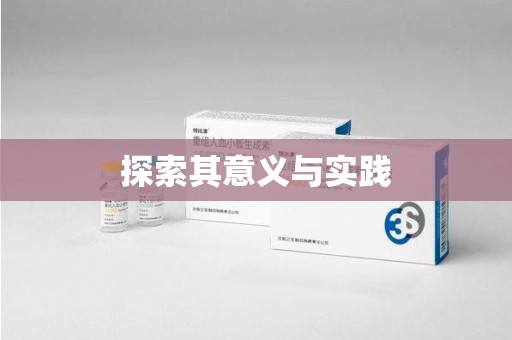武汉探索其意义与实践