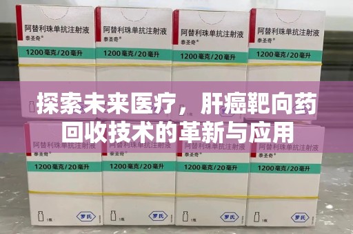 武汉探索未来医疗，肝癌靶向药回收技术的革新与应用