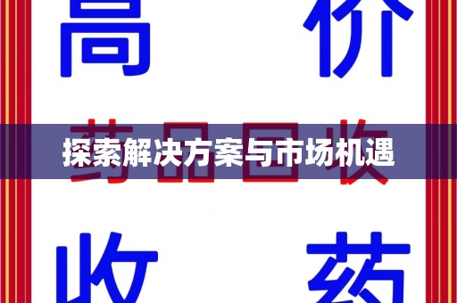 武汉探索解决方案与市场机遇