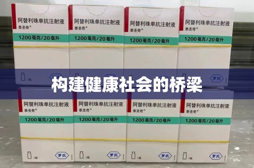 武汉构建健康社会的桥梁