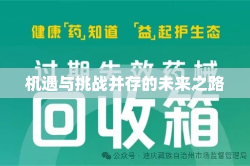 武汉机遇与挑战并存的未来之路