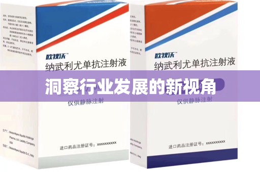 武汉洞察行业发展的新视角