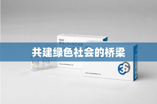 武汉共建绿色社会的桥梁