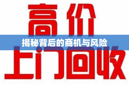 武汉揭秘背后的商机与风险